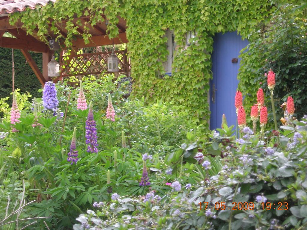 Le Colombier Bed & Breakfast วีเนิฟ-โซร์-ล็อต ภายนอก รูปภาพ